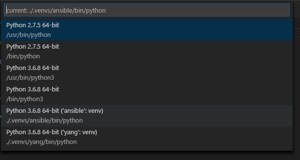 Python Interpreter