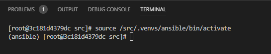VSCode Terminal1