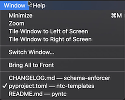 Screenshot Showing Default Open File Ordering in VS Code