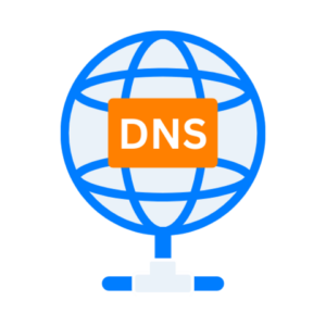 DNS Models